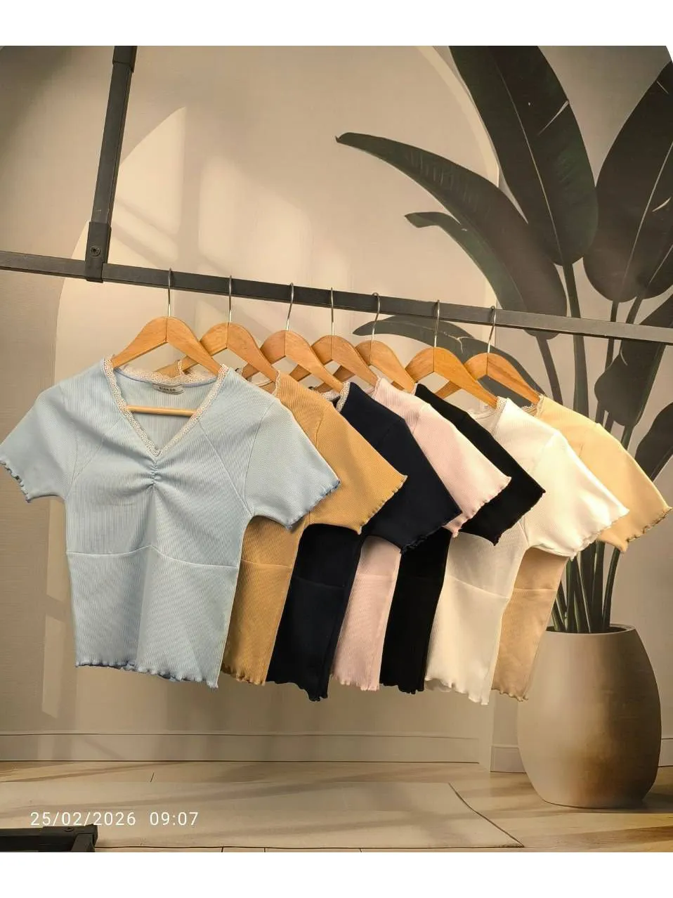 کراپ ، یقه هفت گیپور ، تمام ژور